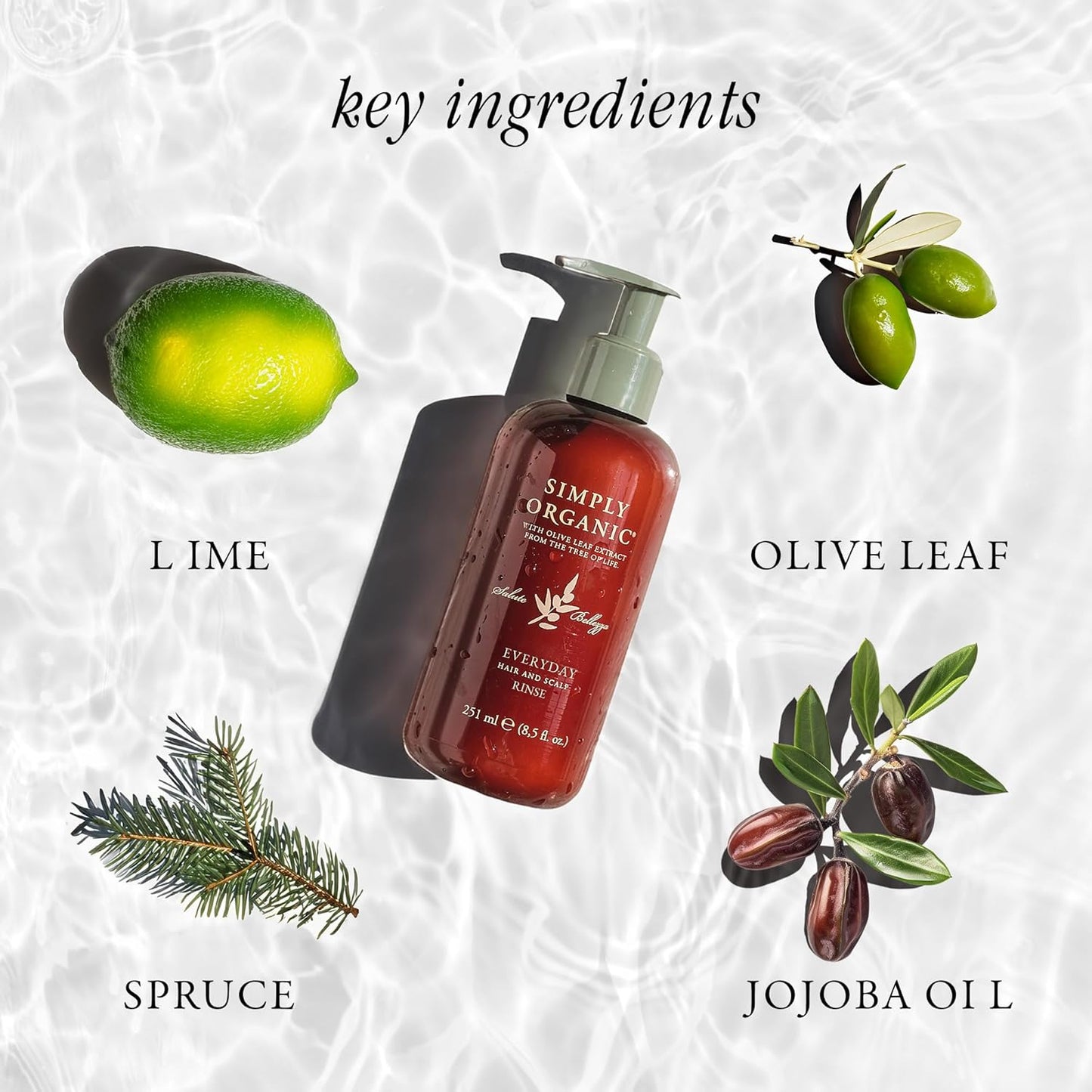 Hair & Scalp Rinse Daily Conditioner, Made in Italy, All Natural Cruelty Free Hair Care for Women & Men, Organic Olive Oil, Jojoba Oil, Spruce Tree Extract, 251ml/8.5floz, EVERYDAY