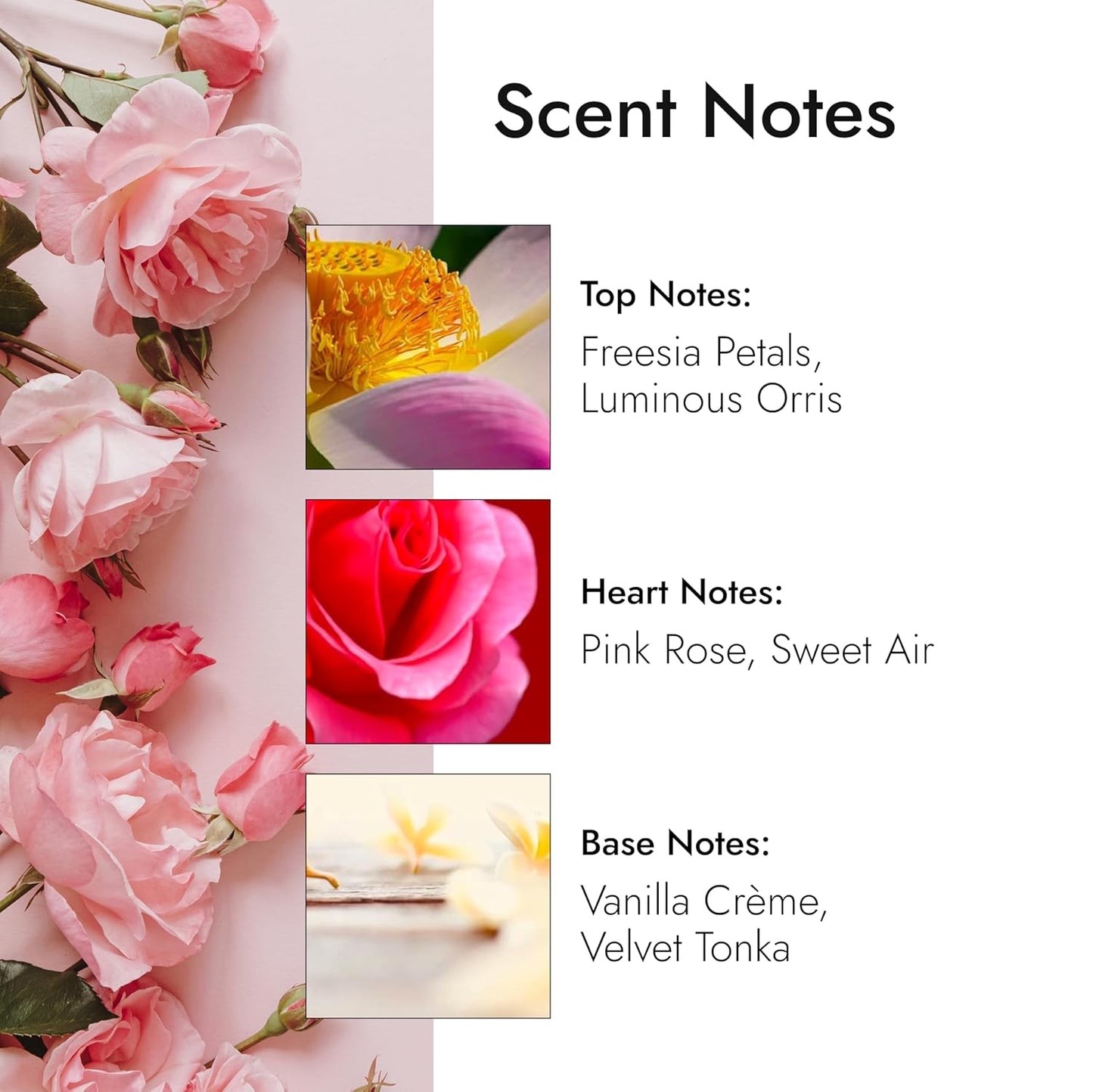 Modern Memory Atomic Flower Eau de Parfum for Women, 2.5 fl oz - Notes of Freesia Petals, Pink Rose & Vanilla