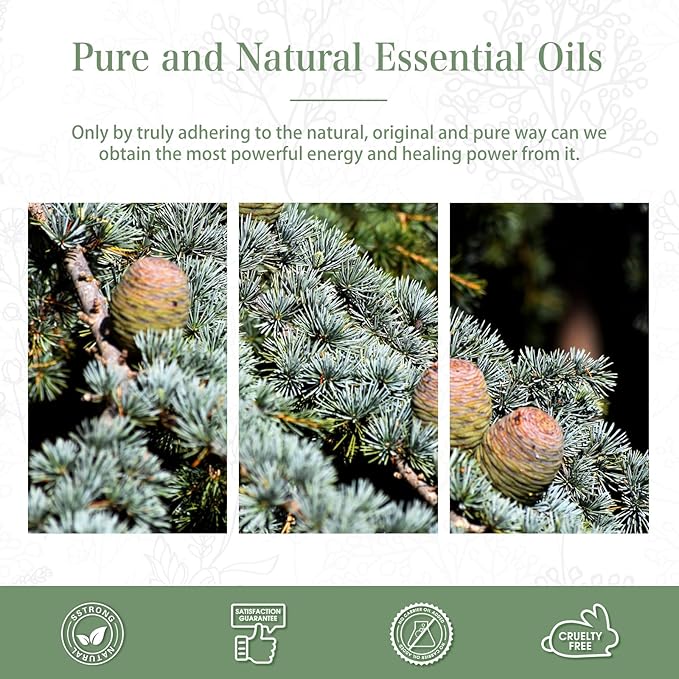 Cedarwood Essential Oil, 1.01Fl.Oz (30ML) PHATOIL Pure Essential Oil Singles for Aromatherapy Diffusers, Humidifiers, Great for DIY Candle and Soap Making, Gift for Friend