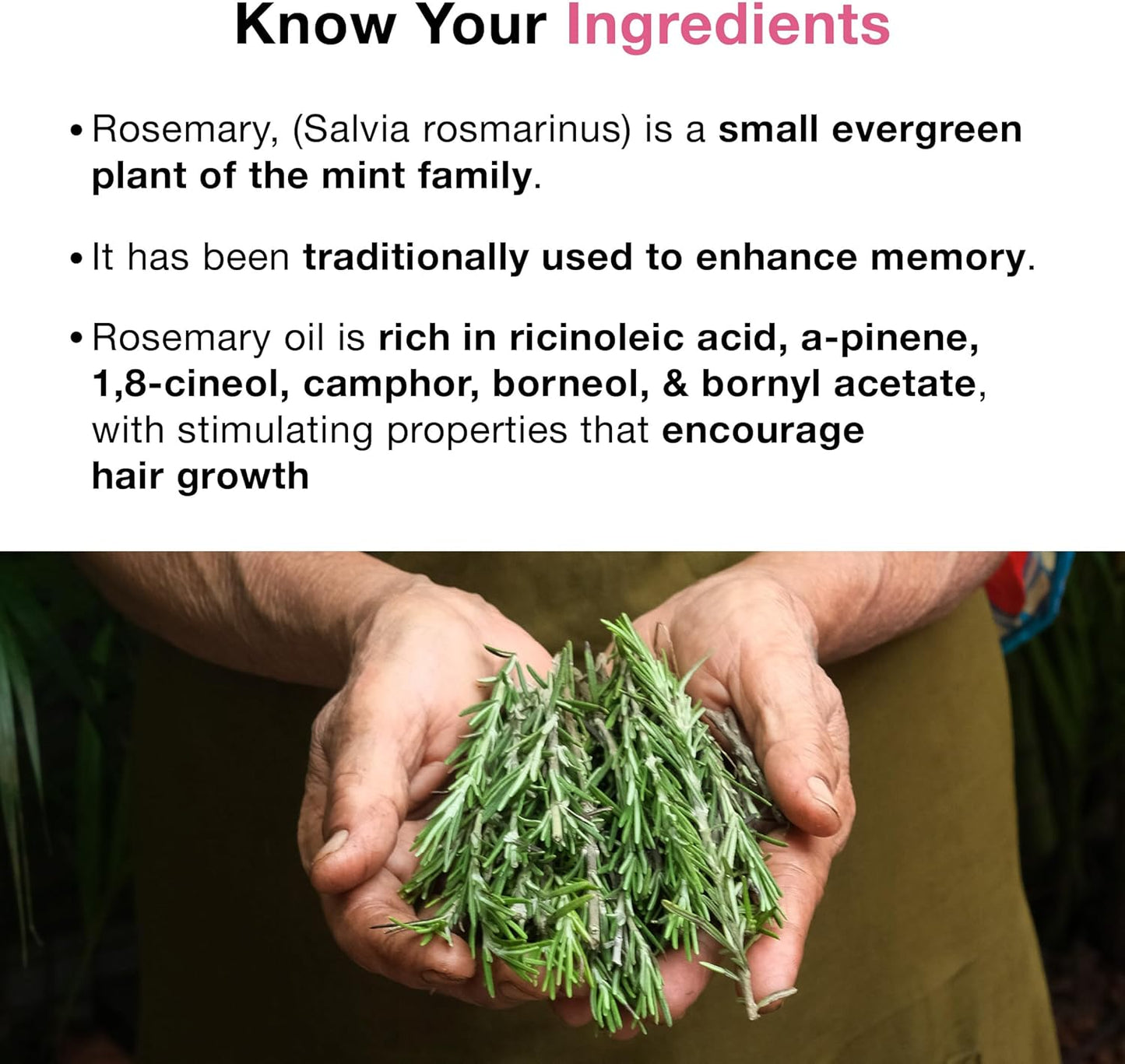 Soulflower 100% Pure Rosemary Oil for Hair Growth, Hair Fall Control, Strengthening, Volumising Hair Oil for All Types | Organic Certified (1 fl oz)