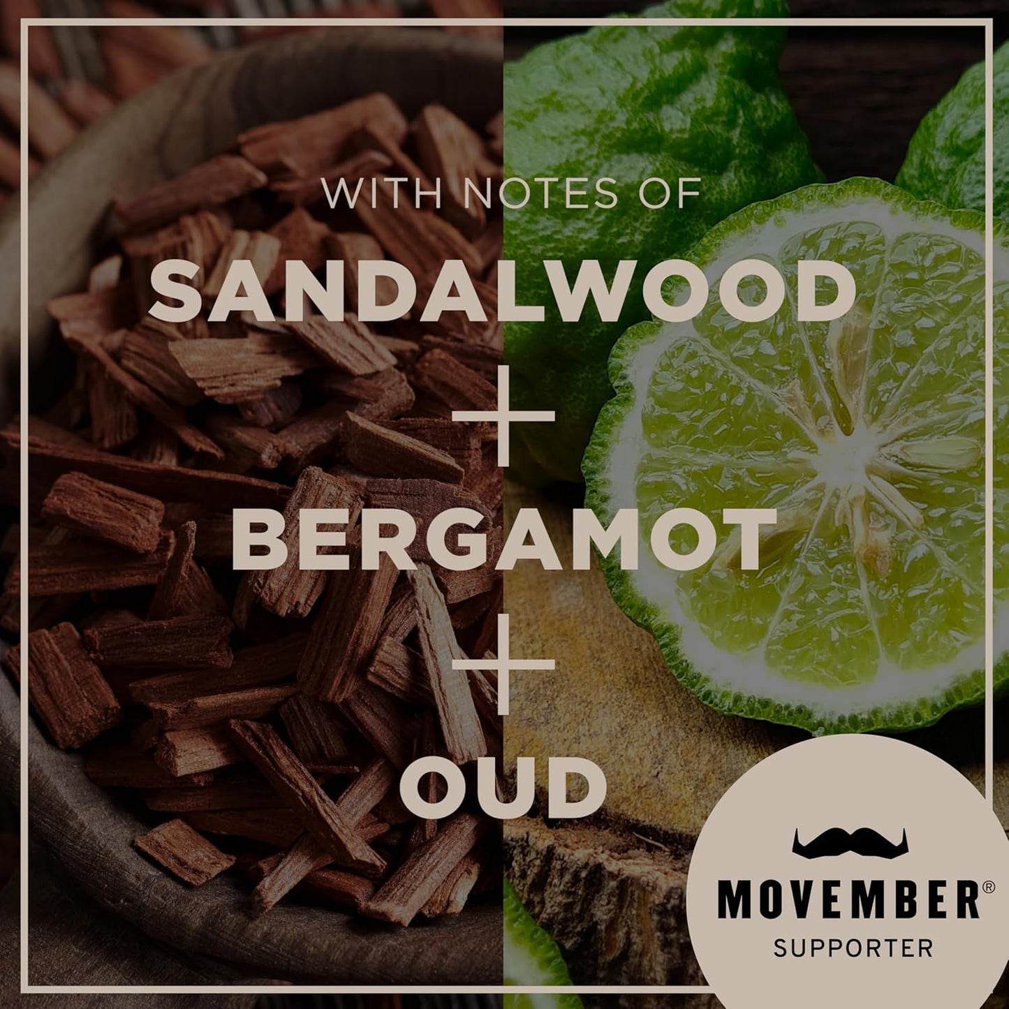 CHI Pour Homme Pomade for Men, Light Hold Hair Product For Medium Shine & Polished Styles, Made With Aloe Vera & Nettle, Fresh, Woody Scent, 6 oz