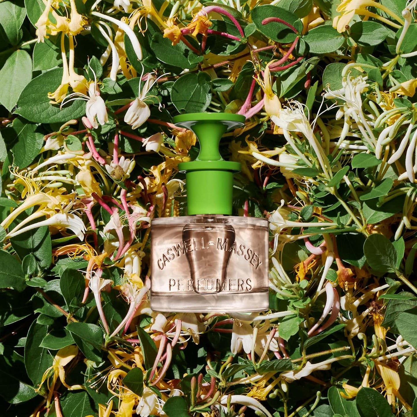 Caswell-Massey Honeysuckle Eau de Toilette, Classic Floral Scent, Luxurious & Long-Lasting Fragrance for Women, Full Size, Perfume for Women, 2 Fl Oz