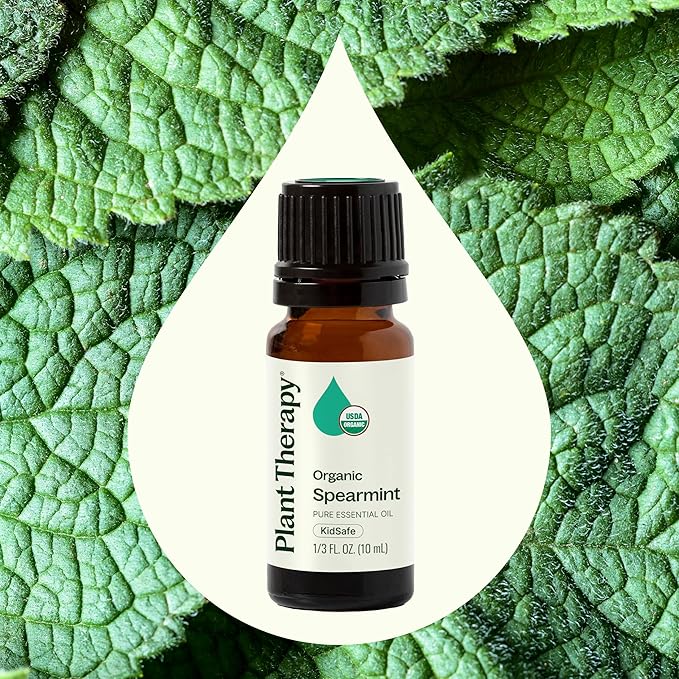 Plant Therapy USDA Certified Organic Spearmint Essential Oil 10 mL (1/3 oz) 100% Pure, Undiluted, Therapeutic Grade