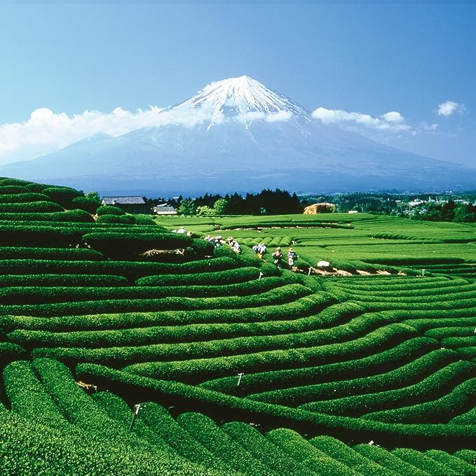 Palais des Thés - Organic Scandinavian Wellness Caffeine-Free Herbal Tea for Natural Defenses with Birch, Sea Buckthorn, Cranberry, and Bilberry - 3.5oz Loose Leaf Metal Gift Tin