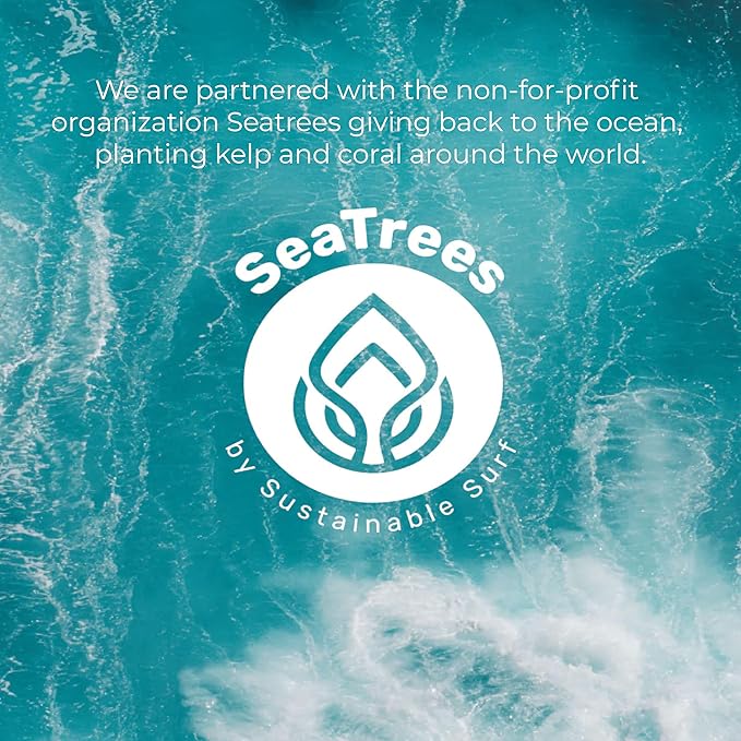 Sea Kelp Mud Face Mask Skincare Activated Charcoal & Bentonite Clay Detox & Repair Facial Mask Calming Hydration Boost - Turmeric & Aloe Daily Glow Essentials for Women & Men - 2oz