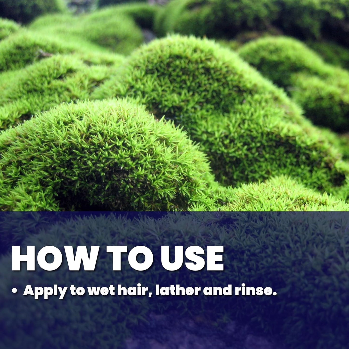 GREAT CLIPS LATITUDE 2-in-1 Shampoo + Conditioner | Daily Shampoo and Conditioner Set for Men | Promotes Full + Healthy Hair | 32oz