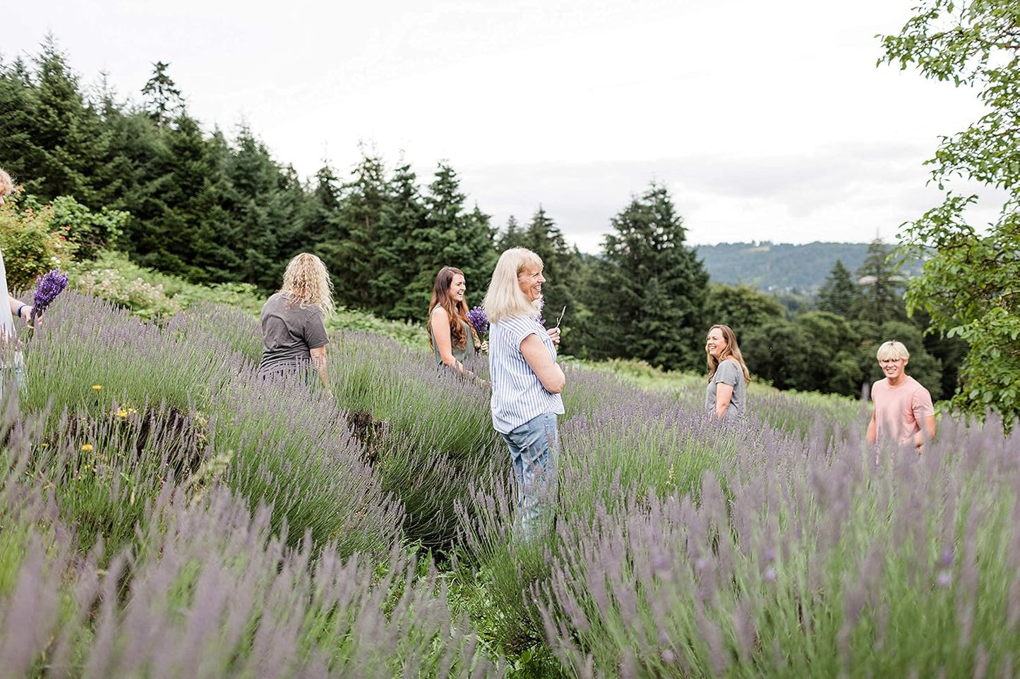 Victoria's Lavender Natural Body Products Gift Set - Handmade Soap, Hand & Body Lotion, Lip Balm, Made in the USA Body Candle Skin Care Set & Kits, Bath & Body Products for Women, Lavender Lemongrass