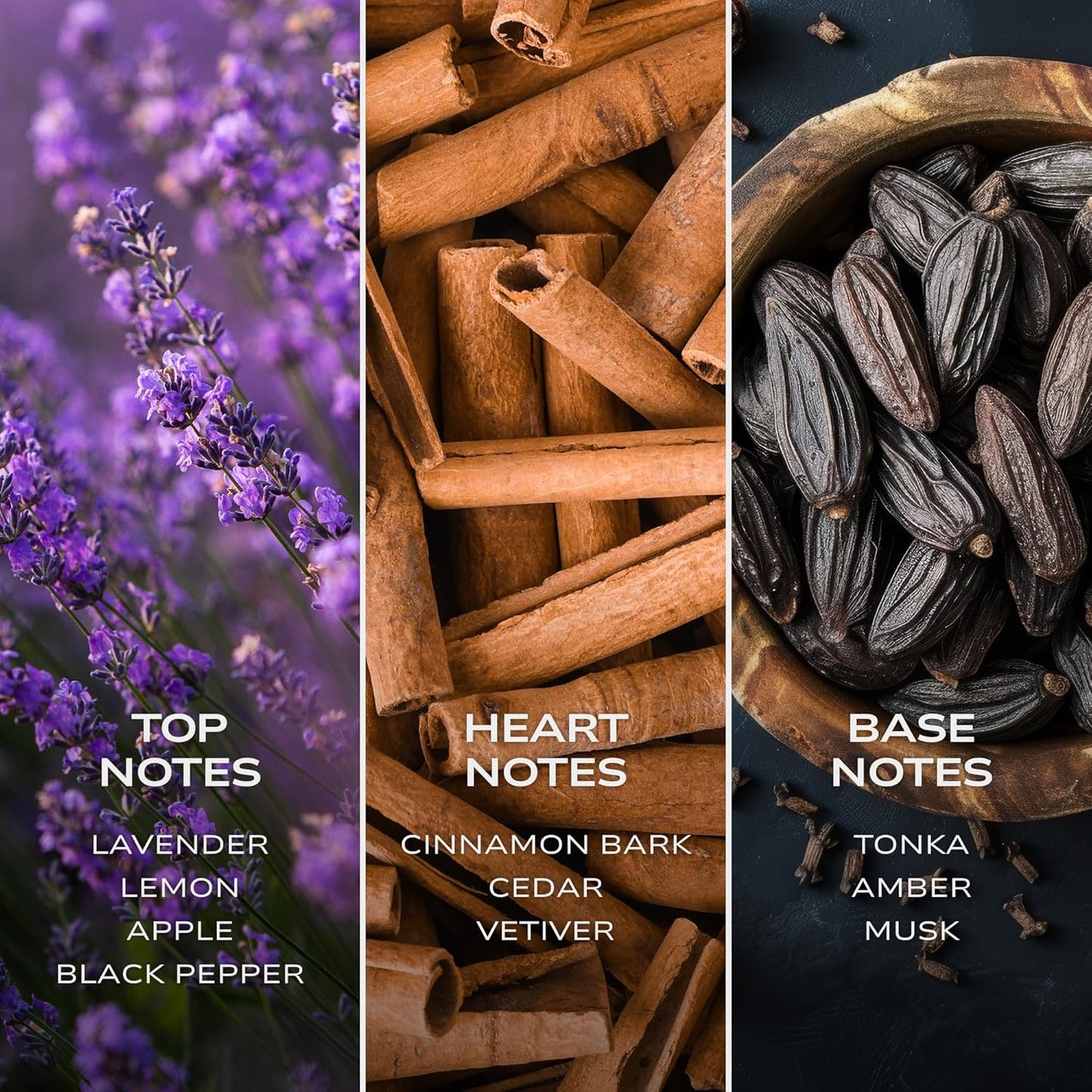 Intelligent Argon Eau de Parfum | Cologne for Men | Dark, Aromatic, and Tantalizing | 3.4 Fl Oz (100 mL)