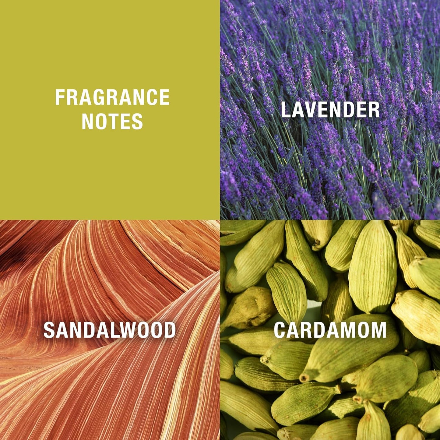 Curve for Men 3 Piece Fragrance Gift Set, Deodorant, Aftershave Balm & Cologne, Spicy Woody Magnetic Scent for Day or Night, 2.5 fl oz