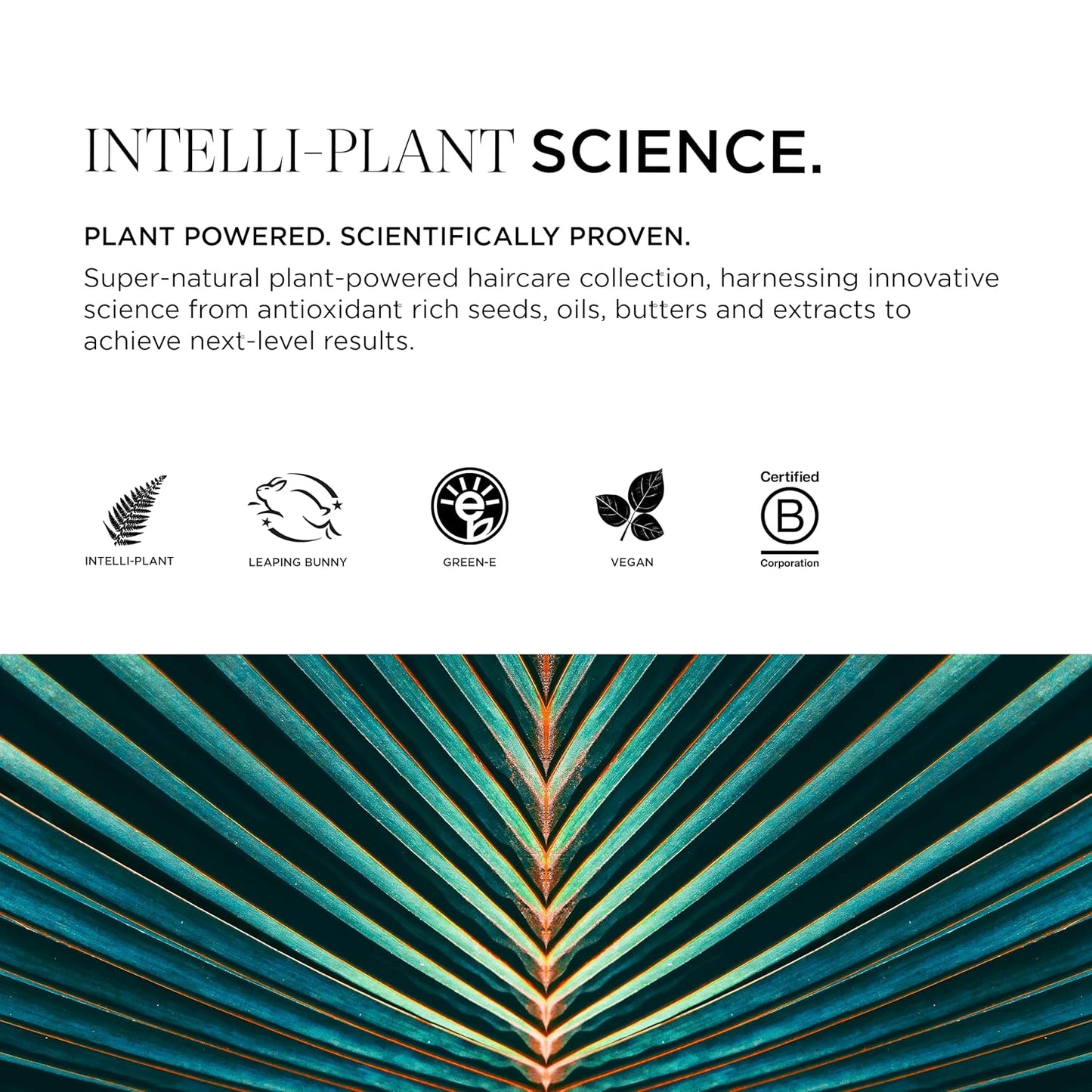 Fortifi-hair Leave-In Treatment, Silky Hair Serum Smooths, Shines, and Revitalizes Dry and Damaged Hair, Vegan, 5 Fl Oz