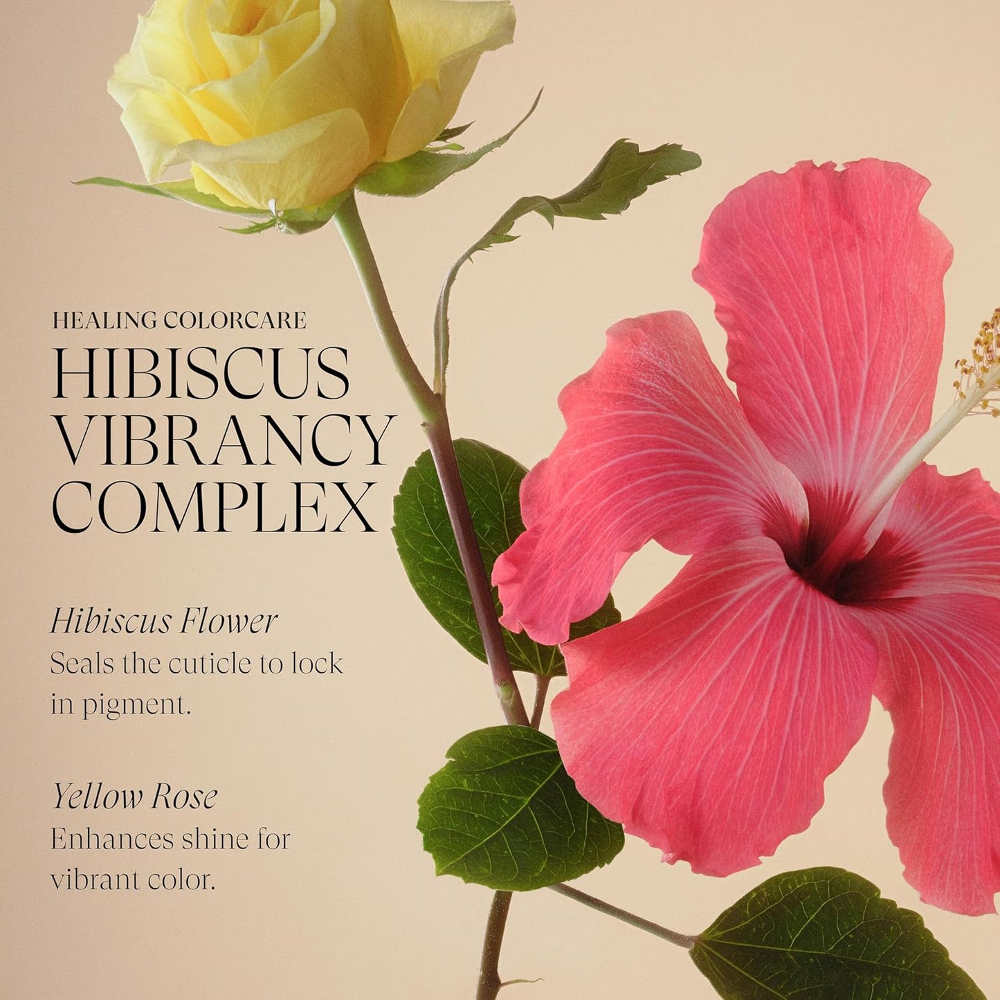 L'ANZA Healing Colorcare Shampoo, Color-Safe Repairing Cleanse for Dry, Damaged or Treated Hair, Anti-Fade Formula Smooths, Moisturizes, Adds Vibrance & Shine, Sulfate Free (10.1 Fl Oz)