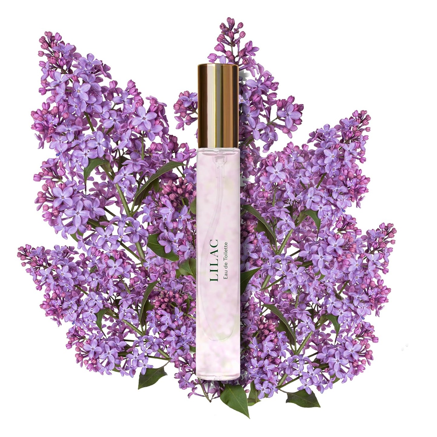 Caswell-Massey Lilac Eau de Toilette Spary, Feminine Floral Perfume with Fresh Lilac, Bergamot & Muguet Notes, Made in USA, 0.25 Fl Oz