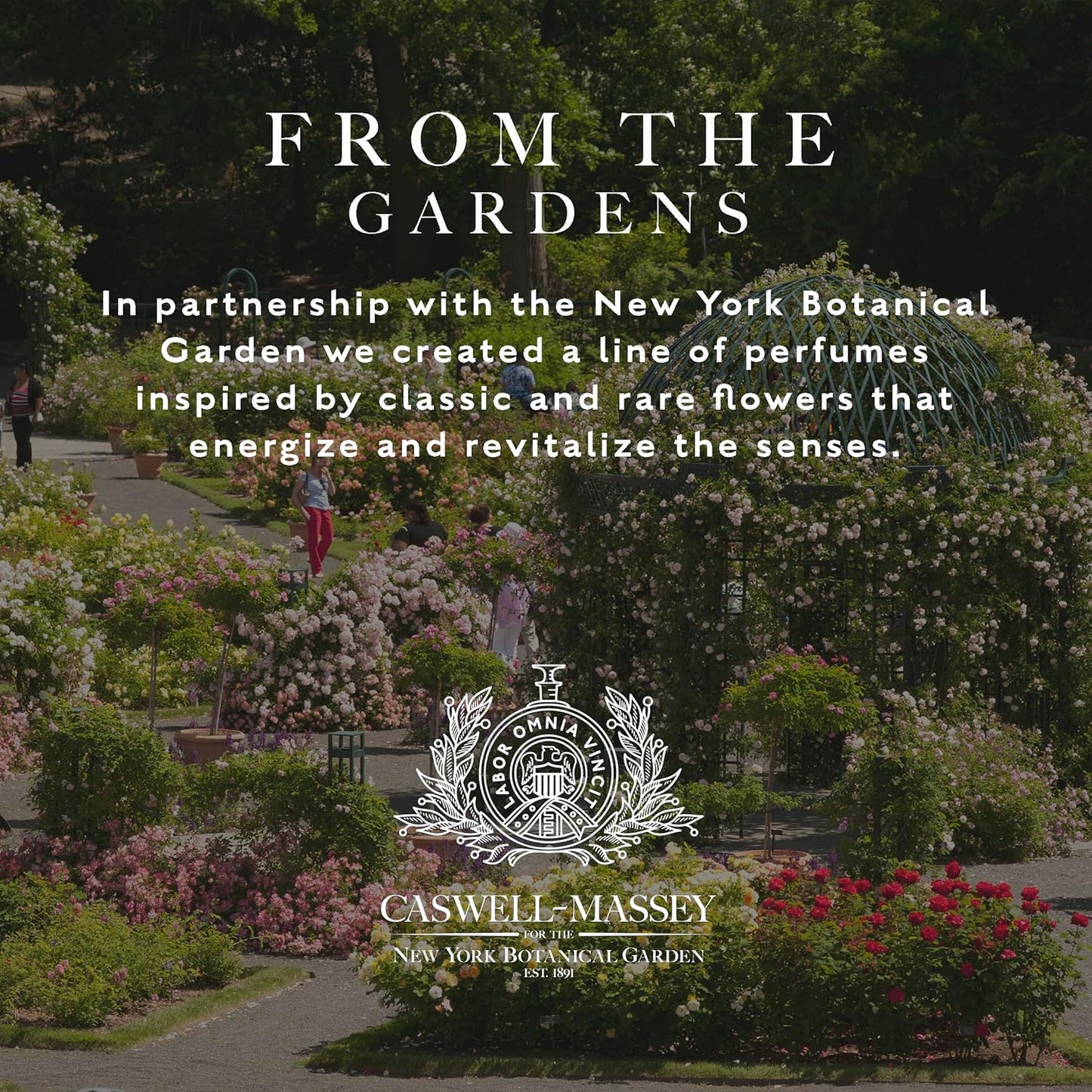 Caswell-Massey Orchid Perfume, Classic Floral Scent, Luxurious & Long-Lasting Fragrance for Women, Full Size, Perfume for Women, 2 Fl Oz