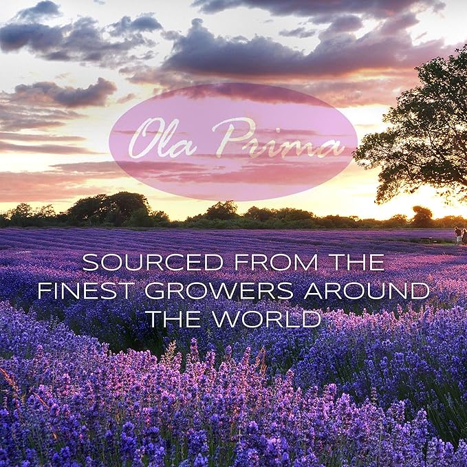 Ola Prima Oils - Orange Essential Oil (16oz Bulk) Therapeutic Grade for Aromatherapy, Diffuser, Relaxation, Calming